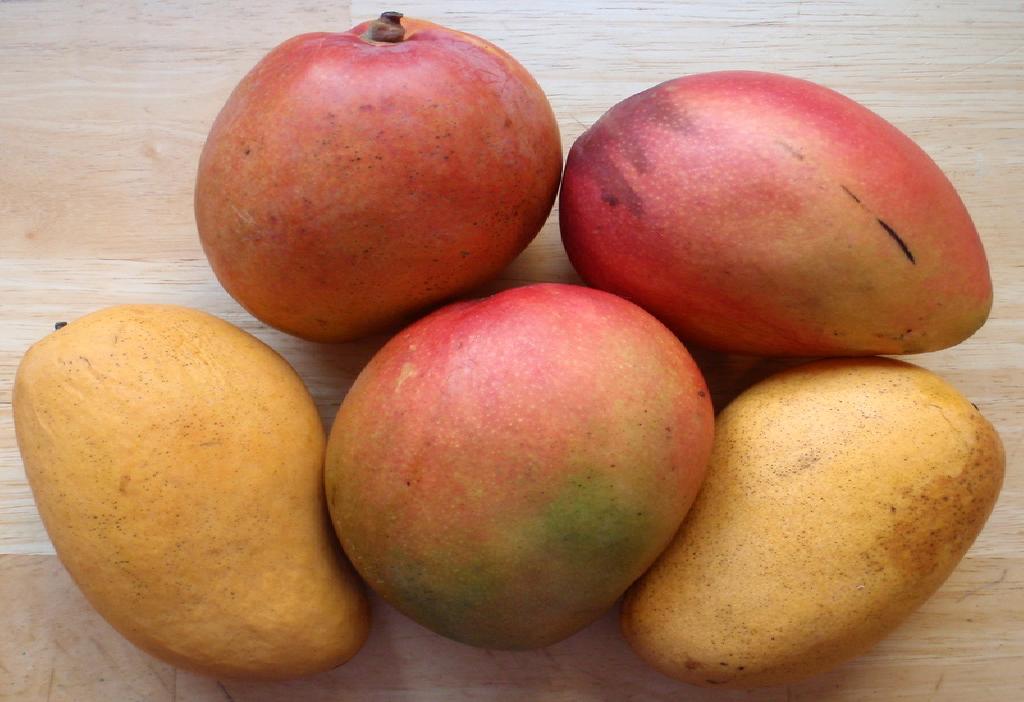 Mangoes!